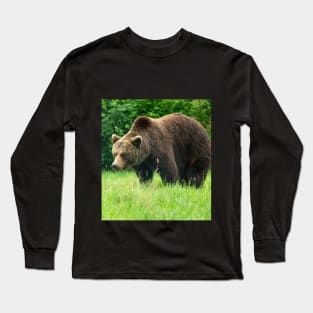 Brown bear Long Sleeve T-Shirt